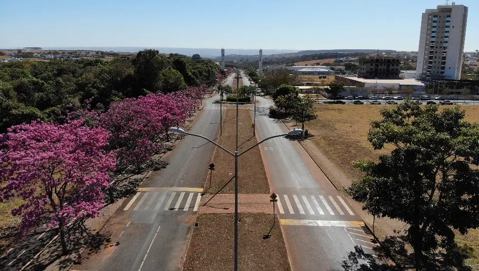 Minas Gerais é o segundo estado em número de corridas de rua no Brasil