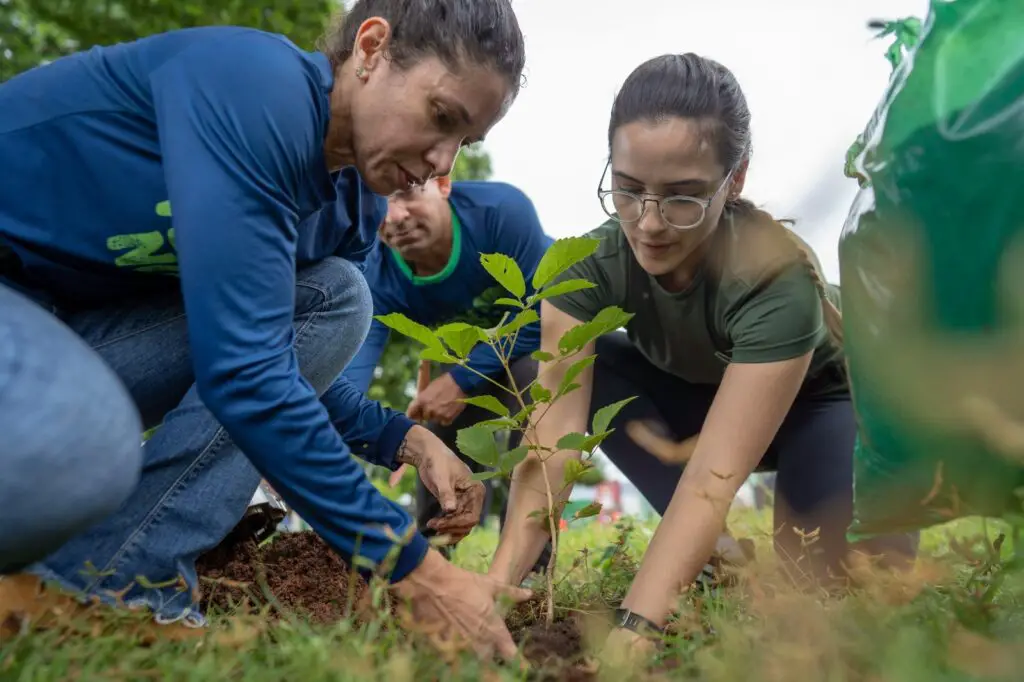 Nova Acrópole celebra o Dia da Terra com ações voluntárias