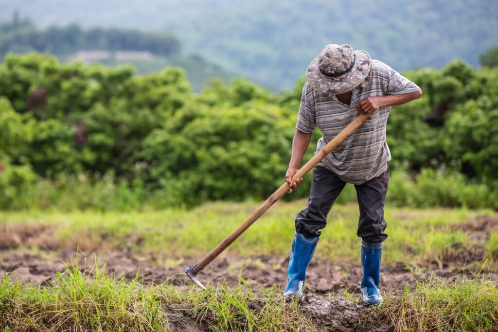 IAgro: solução permite emissão de Nota Fiscal Eletrônica por áudio no WhatsApp